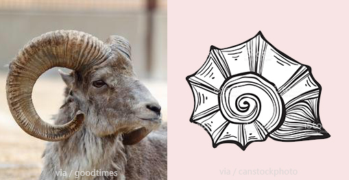 Roman column capital