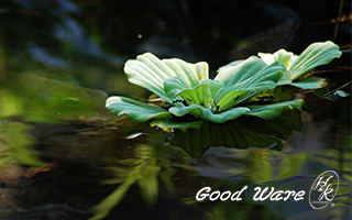 Natural material wallpapers